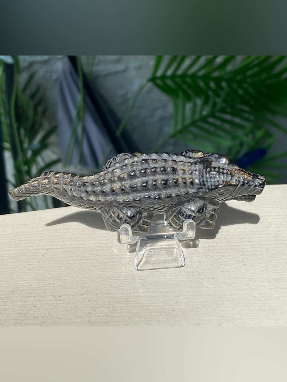Gold Sheen Obsidian Alligator - Picture 2 of 12